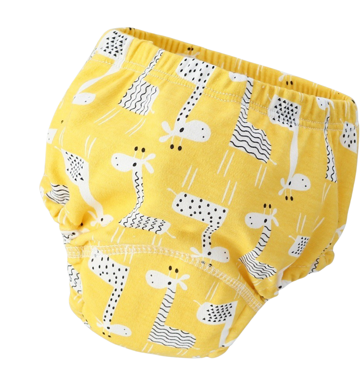 Potty Training Underwear